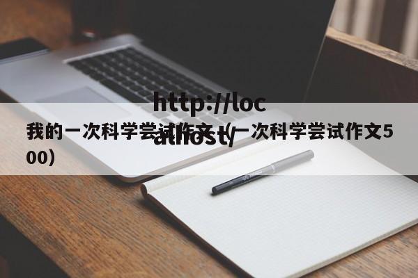 我的一次科学尝试作文（一次科学尝试作文500）